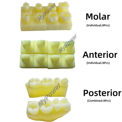 3Sets Dental Caries Decay Teeth Model Composite Restore Template Anterior Molar