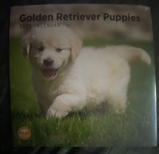      2023 Golden Retriever Puppies Wall Calendar by Bright Day. Dogs Dog     