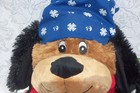 Bret Michaels Pets Rock n Roll Chance Stuffed Plush Dog Luv-A-Pet Poison 80s 90s — photo 9
