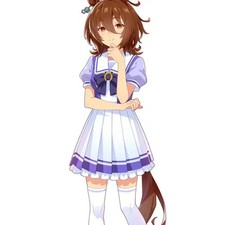 Uma Musume Agnes Takion Summer Cosplay Costume  Wig Set