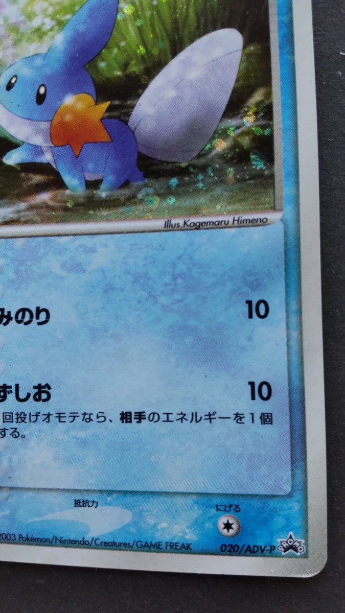 Mudkip Pokemon Card Japanese Nintendo Rare 020/ADV-P Holo Seven