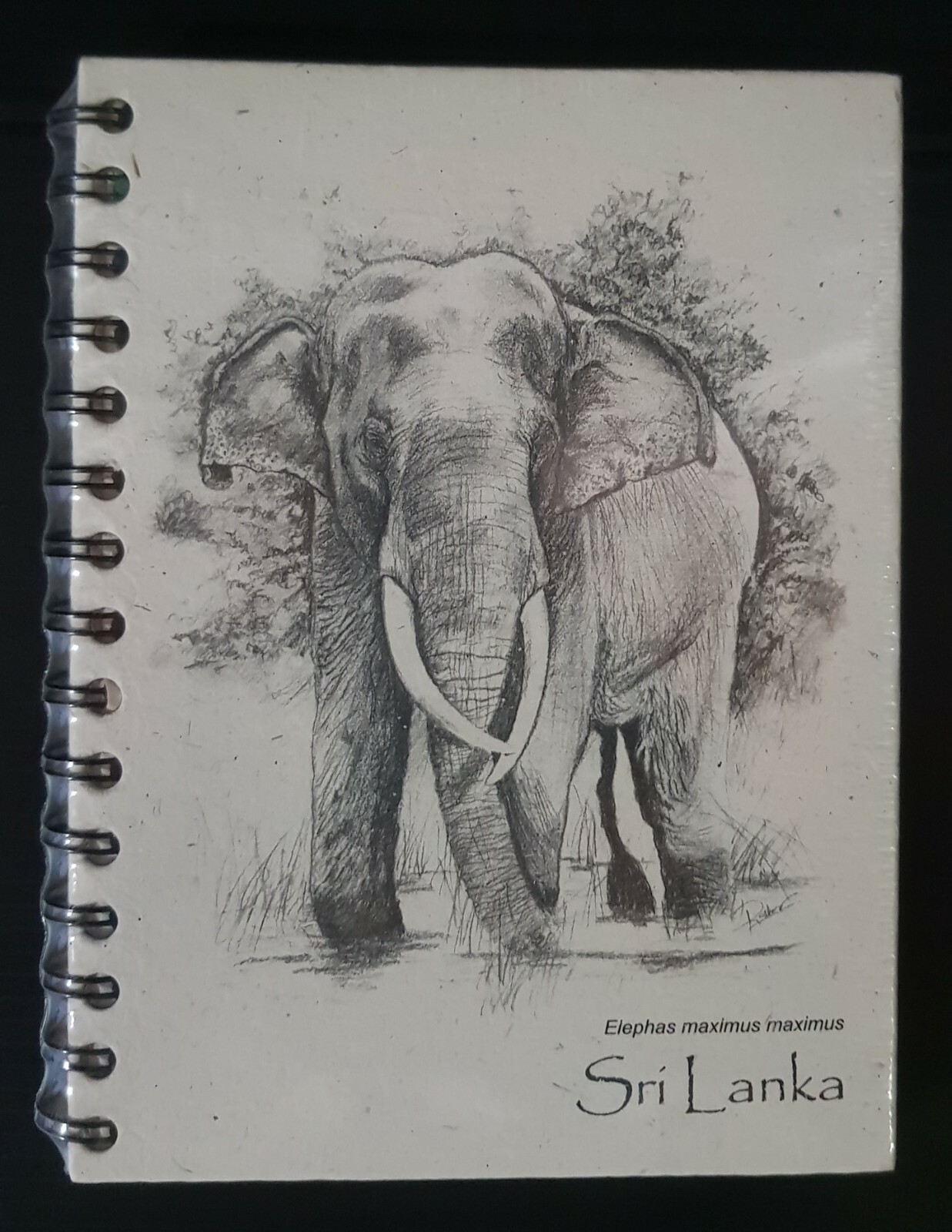 Elephant dung large spiral plain notebook sketchbook journal diary Eco friendly