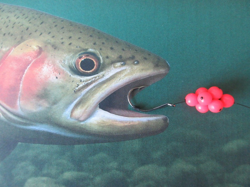 Esca Morbida Beau Mac Uova Galleggianti Chartreuse Per Trota, Salmone, Steelhead #13026 - Foto 5