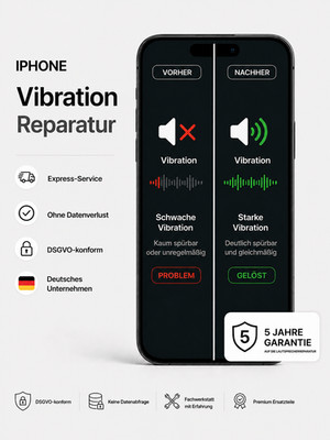 iPhone Vibration Reparatur