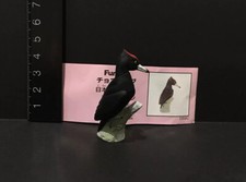Kaiyodo Furuta Choco Egg Classic Black Woodpecker Bird Figure
