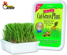 Cat-A'Bout Cat Grass for Indoor Cats, 5.25 Oz, Cat Grass Growing Kit for All Cat