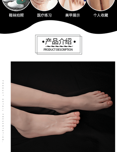 Simulationsfußmodell, Fußmodell, Beinmodell, Schießdisplay Requisiten, Medizin - Bild 10 von 18