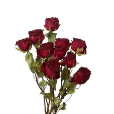 TooGet Natural Dried Flowers Bouquet, 10 Pcs Red Dried Roses Bouquet for Wedd...