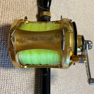 Penn International Rod | eBay