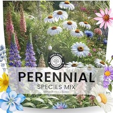 15,000 Wildflower Seeds - 1oz Perennial Species Mix for Planting 386.24 per gallon