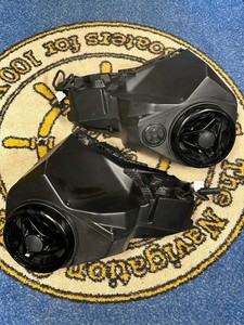 2021 RXT-X Bombardier Audio System with Bluetooth 295100711 2021 Models