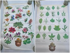 2 Vintage 20" x 30" Smokey Bear US Forest Service Posters -Flowers, Leaves