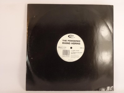 PULVERISIERTE NASHORNHÖRNER ASTRALVISIONEN (A) 12'' NUT & FEDER