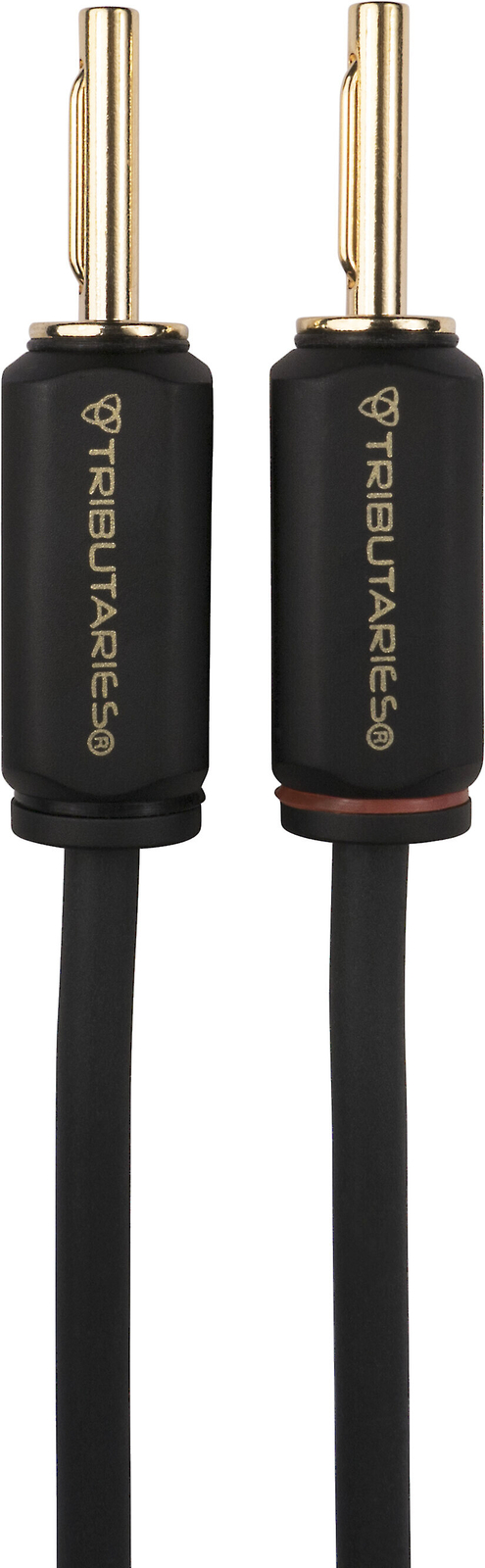 Серия Tributaries 6-звездочный четырехъядерный провод для динамиков с разъемами типа банан длиной 8 футов одинарный