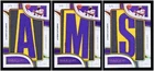 LeBron James 2022-23 Panini Immaculate Nameplate Nobility /5 - 3 Cards Lots