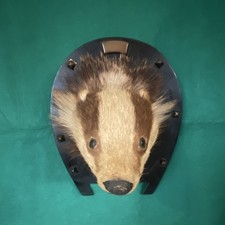 Small Japanese Badger Head On Shield