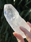 Lemurian Seed Clear Quartz Crystal Large Rough Point 341g 43 With Baby