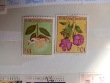 2 seltene Briefmarken aus Belgisch Kongo, wie...