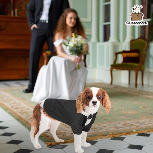 Hunde Smoking - formelles Haustier Outfit für Hunde & Katzen, Smoking mit Krawatte (groß) - Bild 13 von 37