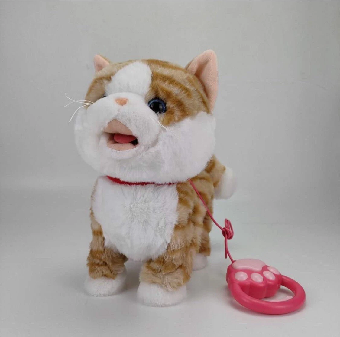 Walking cat toy on cheap leash