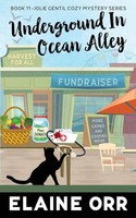 Underground In Ocean Alley | Elaine L. Orr | Taschenbuch | Englisch | 2023