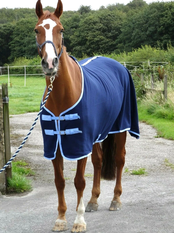 Stunning Navy show cover / travel fleece cooler stable pony horse rugs 4'9-7'0" - Image 2 of 4