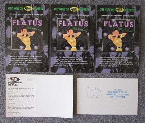7 FLATUS 7" Vinyl 45's New York / New Jersey's BEST PUNK ROCK BAND - Picture 8 of 8