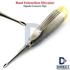 Dental Root Tip Elevator Spade Concave #60 Straight Tooth Surgery Pattern Handle