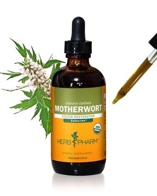 Herb Pharm Certified Organic Motherwort Liquid Extract for Endocrine System S...