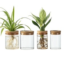 CHPINDAM Glass Propagation Stations for Plants -Desktop Flower Vases,Propagation