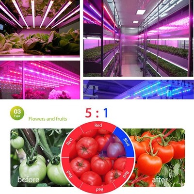5m DC12V Pflanzenlampe LED Strip Pflanzenlicht Wachstumslampe Grow Streifen Band