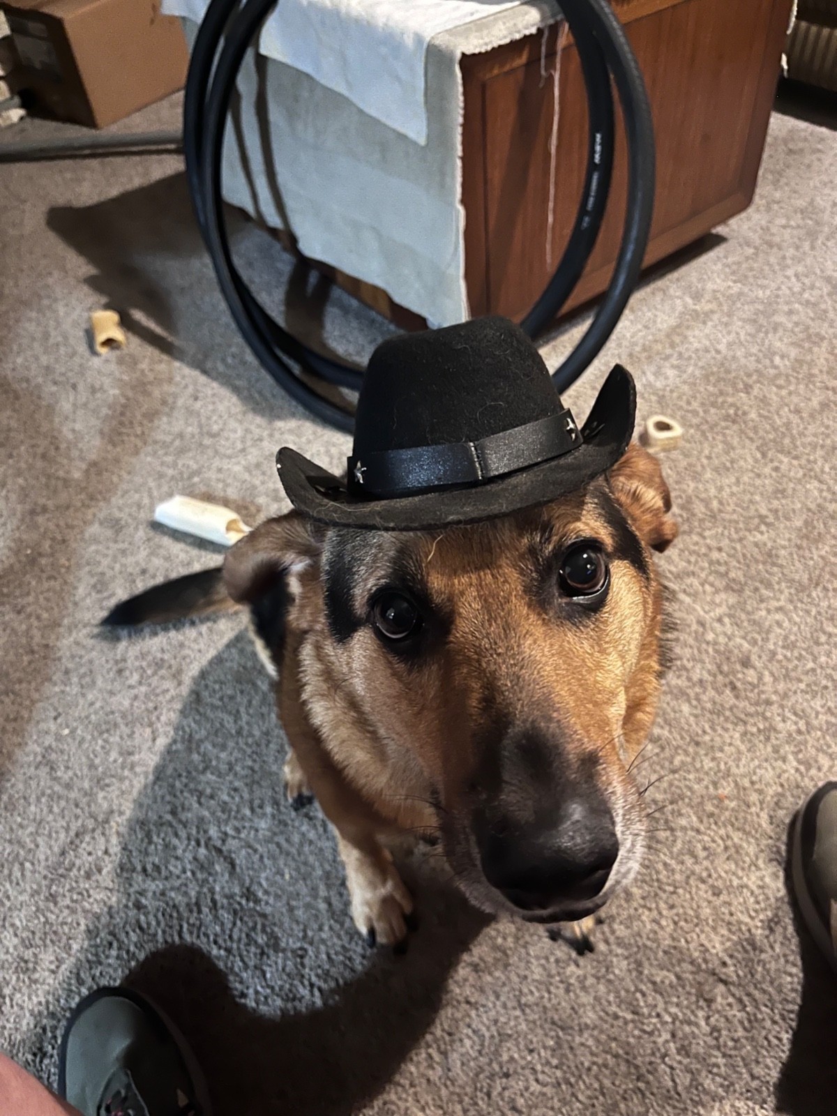 BLACK RAPHA PRO TEAM THERMAL LONG SLEEVE CYCLING BASE LAYER W/COLLAR XXL 2XL