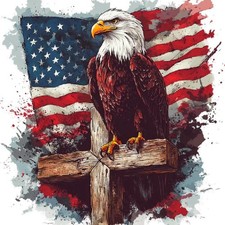 DIY Independence Day Eagle Diamond Art Kits for Adults - 4th of July Patriotic D