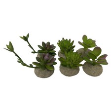 Terra Della Terrarium Dekoracja Sukulenty 8x5,8x10,5 cm dla gadów