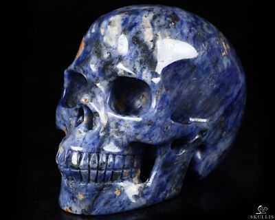 4.1'' Sodalite Carved Crystal Skull,Realistic, Crystal Healing