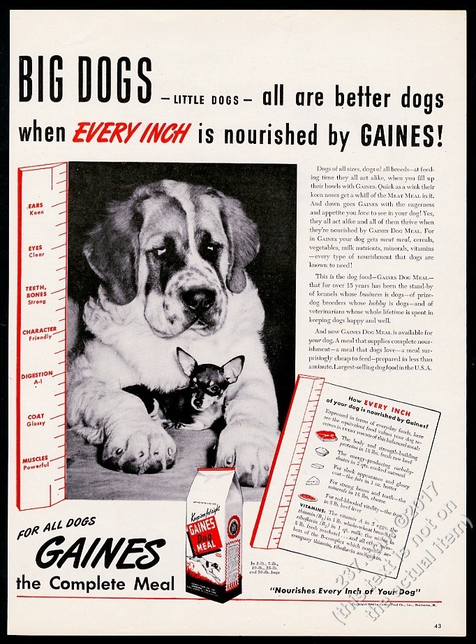 Vintage Print Ad