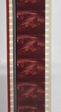 THE LORD OF THE RINGS. 1978. 35mm. Film Cell Strip