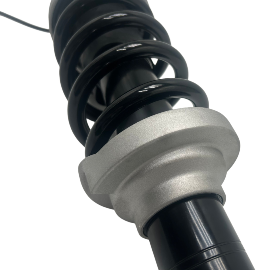 Audi R8 2017-2021 REAR Strut assembly P/N 4S0512019B