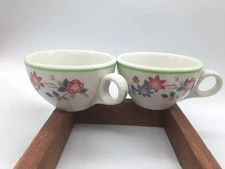 1970 2 Jackson China Restaurant Ware Coffee Mugs Floral Flowers Green stripe VTG