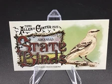 2025 Topps Allen & Ginter State Birds (Mini) SB-4 Northern Mockingbird Arkansas