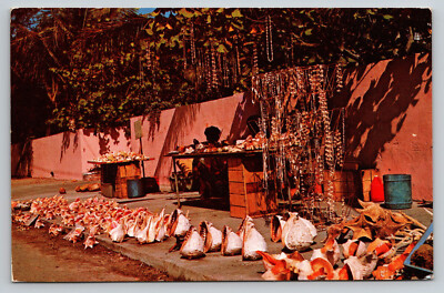 Florida Keys Roadside Vendor Conch Shells Crafts Posted Postcard