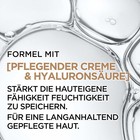 Bild 5 von 10