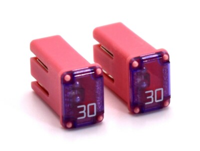 Flosser 608730 30 Amp MCASE+ Type Slotted Cartridge Fuse   Made in Japan (2)