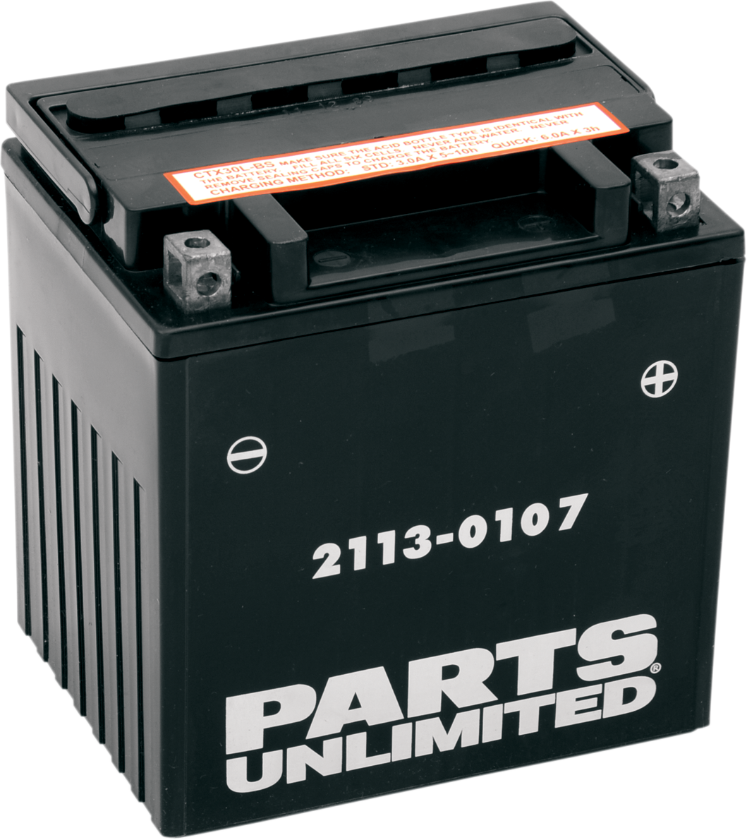 PARTS UNLIMITED BATTERIES 21130107 AGM MaintenanceFree Battery YIX30L