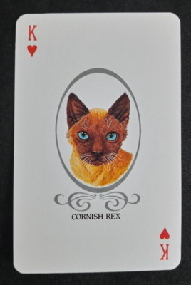 Cat Lovers Playing Card Blue Back Cornish Rex King Hearts