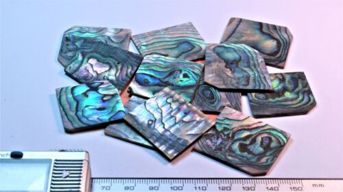 1oz green abalone shell blanks inlay material premium thickness 0.040" random - Picture 1 of 1