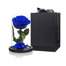 Preserved Roses Roses in Glass Dome, Preserved Flowers for Medium Royal Blue