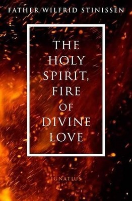Wilfred Stinissen The Holy Spirit, Fire of Divine Love (Paperback)