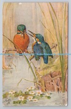 R804681 Birds and Blossoms. Tuck. Oilette. No. 3191. 1920