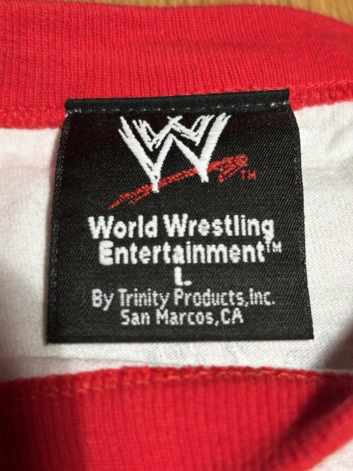 Винтажная футболка Chris Jericho WWE Y2J Breaking стены вниз 2004 World Tour LG - Изображение 3 из 4